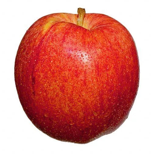 Økologiske Æbler "Crisp Pink" - 1 Stk - Argentina - Frugt & Grønt Uge 31