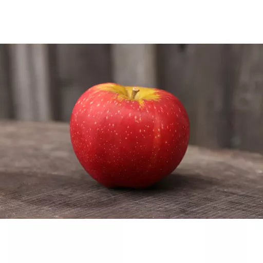 Biodynamiske Æbler Freya - 1 Stk - Tyskland - Frugt & Grønt Uge 45