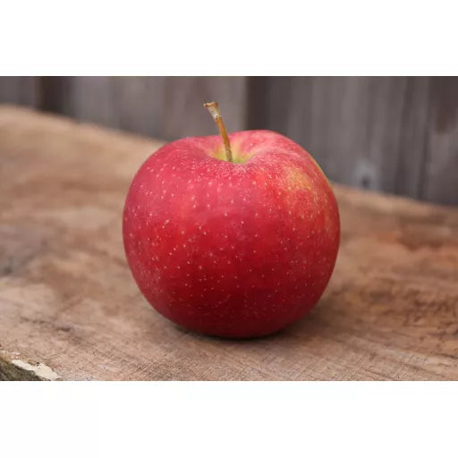 Biodynamiske Æbler "Marnica" - 1 Stk - Tyskland - Frugt & Grønt Uge 31