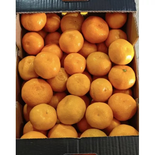 Økologiske Satsuma Mandariner - 100G - Tyrkiet - Frugt & Grønt Uge 50