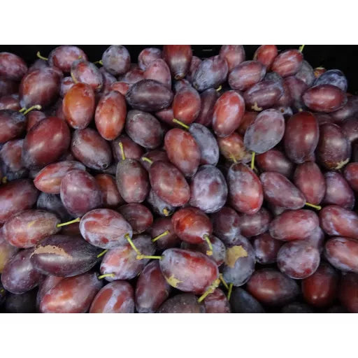 Økologiske Blommer - 100G - Tyskland - Frugt & Grønt Uge 34