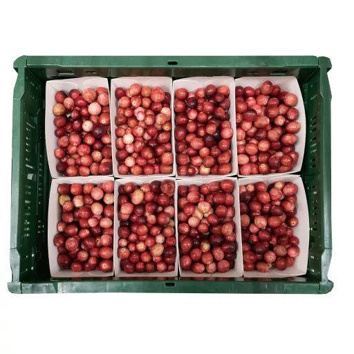 Økologiske Tranebær - 200G - Tyskland - Frugt & Grønt Uge 42