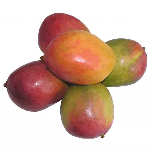 Økologiske Mango "Keitt" - 1 Stk - Spanien - Frugt & Grønt Uge 35