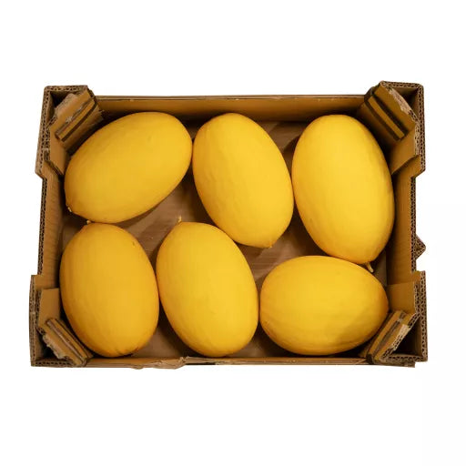 Økologisk Canari Melon - 1 Stk - Spanien - Frugt & Grønt Uge 33
