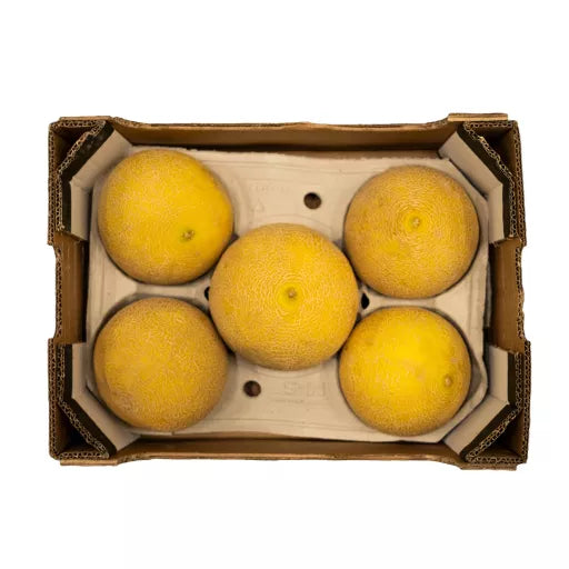 Økologisk Galia Melon - 1 Stk - Spanien - Frugt & Grønt Uge 23