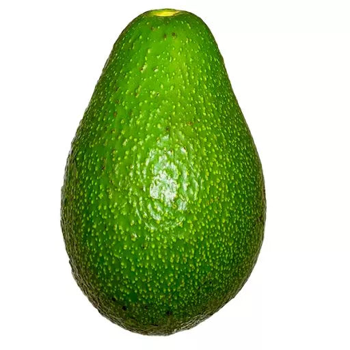Økologisk Avocado "Bacon" - 1 Stk - Spanien - Frugt & Grønt Uge 42