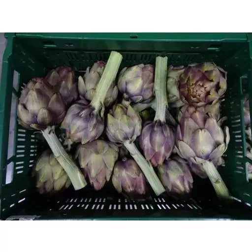 Økologiske Violette Artiskokker - 100G - Frankrig - Frugt & Grønt Uge 45
