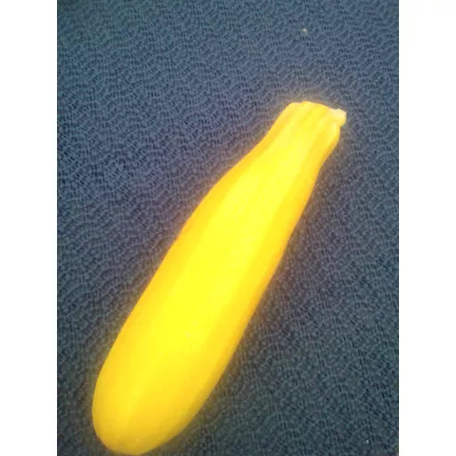 Biodynamiske Gule Courgettes  - 1 Stk - Tyskland - Frugt & Grønt Uge 39