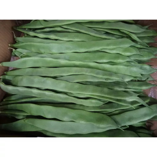 Biodynamiske Buskbønner - 200G - Tyskland - Frugt & Grønt Uge 35