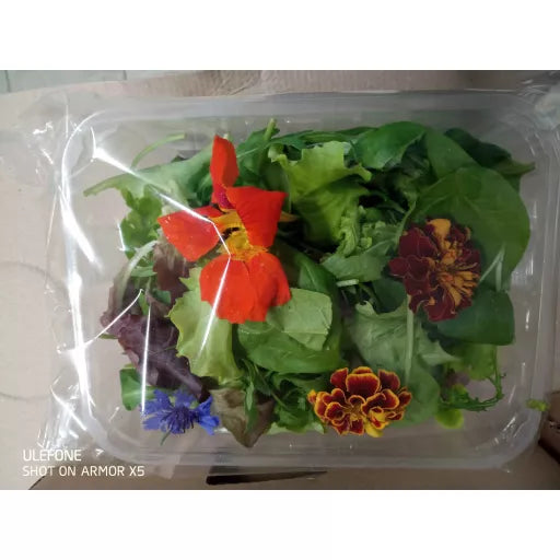 Økologisk Mix Blomstersalat - 75G - Tyskland - Frugt & Grønt Uge 35