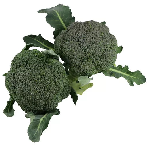 Økologisk Broccoli - 1 Hoved - Tyskland - Frugt & Grønt Uge 30