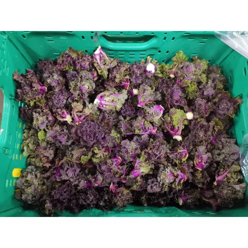 Økologiske Flower Sprouts - 100G - Tyskland - Frugt & Grønt Uge 43