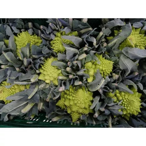 Økologisk Romanesco - 1 Stk - Frankrig - Frugt & Grønt Uge 48