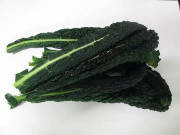 Økologisk Palmekål - 1 Bundt - Tyskland - Frugt & Grønt Uge 48