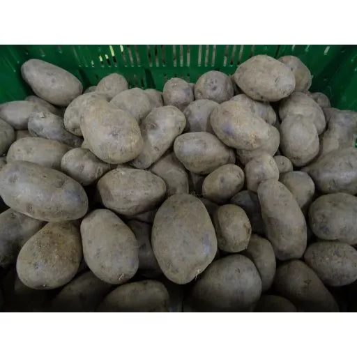 Økologiske Blå Kartofler - 100G - Tyskland - Frugt & Grønt Uge 39
