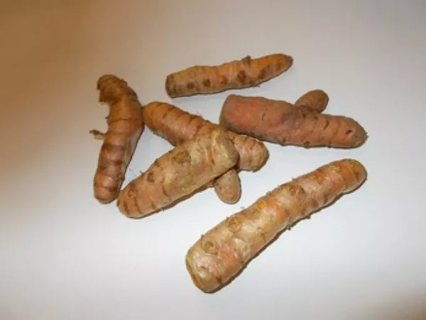 Økologisk Gurkemeje - 100G - Peru - Frugt & Grønt Uge 34