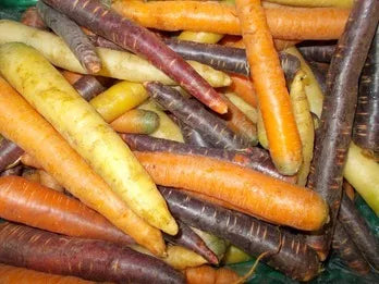 Økologisk Gulerodsmix - 100G - Tyskland - Frugt & Grønt Uge 50