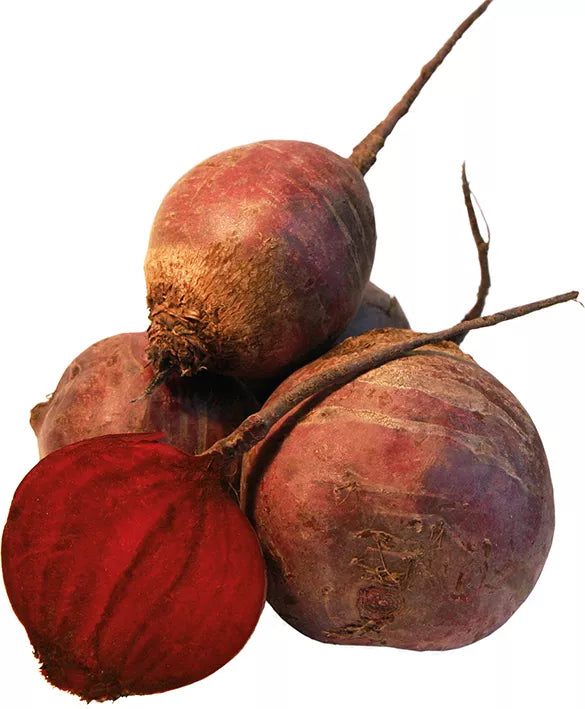 Økologiske Rødbeder "Agela" - 100G - Tyskland - Frugt & Grønt Uge 42