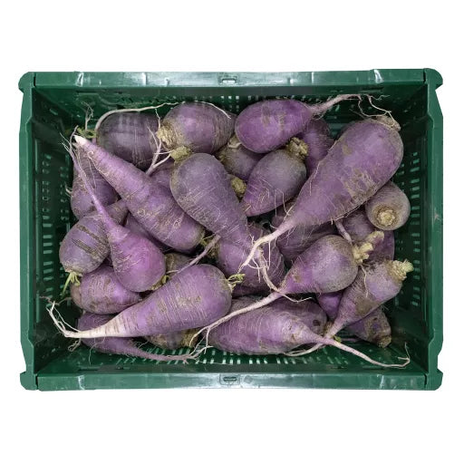 Økologiske Blå Radiser - 100G - Frankrig - Frugt & Grønt Uge 43