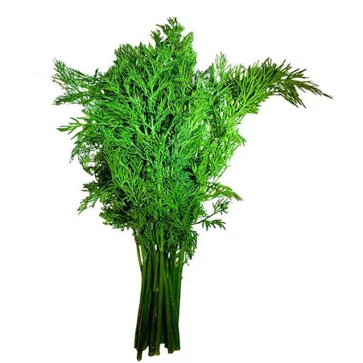 Økologisk Dild - 1 Bdt - Frankrig - Frugt & Grønt Uge 48