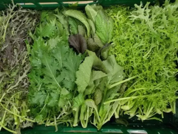 Biodynamisk Vild Salatmix  - 100G - Tyskland - Frugt & Grønt Uge 42