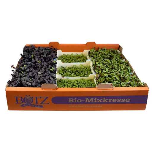 Økologiske Rucolaspirer - 1 bakke - Tyskland - Frugt & Grønt Uge 48