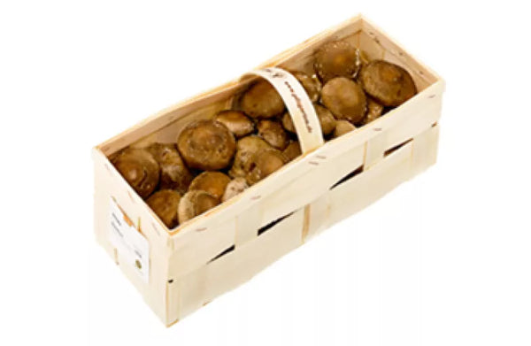 Biodynamiske Shiitake Svampe  - 100G - Tyskland - Frugt & Grønt Uge 35