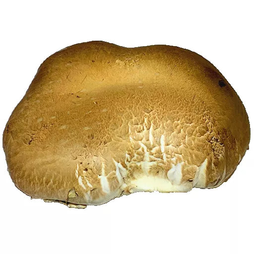 Økologiske Portabello Svampe - 100G - Tyskland - Frugt & Grønt Uge 39