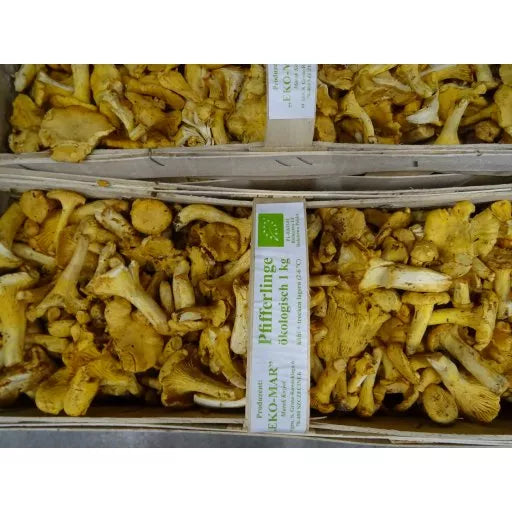 Økologiske Vilde Kantareller - 100G - Rumænien - Frugt & Grønt Uge 34