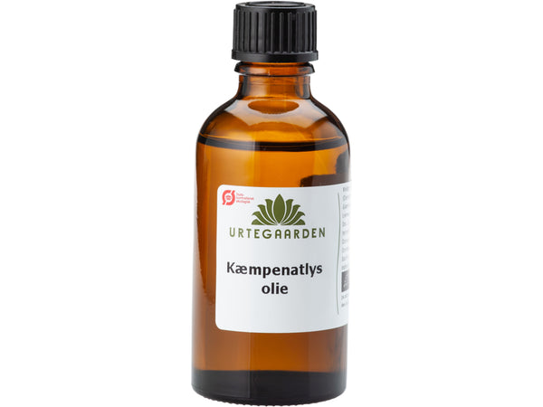 Økologisk Kæmpenatlysolie - 50ML - URTEGAARDEN