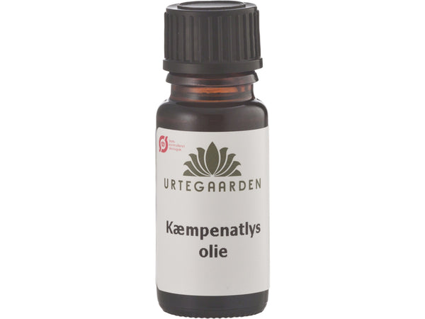 Økologisk Kæmpenatlysolie - 10ML - URTEGAARDEN