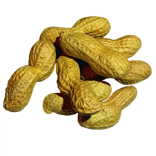 Økologiske Ristede Jordnødder i skal - 100G - Ægypten - Frugt & Grønt Uge 48