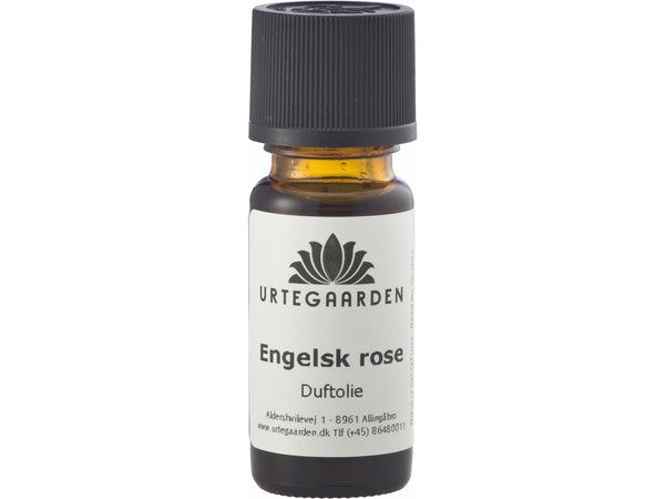 Engelsk Rose Duftolie - 10ML - URTEGAARDEN