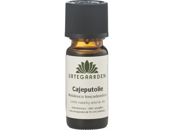 Cajeput Æterisk Olie - 10ML - URTEGAARDEN