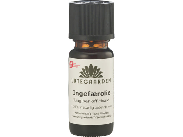 Økologisk Ingefærolie Æterisk Olie - 10ML - URTEGAARDEN