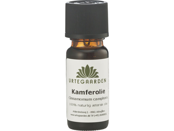 Kamferolie Æterisk Olie - 10ML - URTEGAARDEN