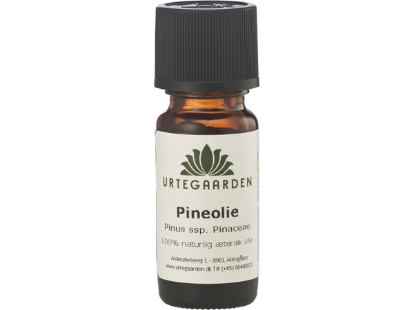 Pineolie Æterisk Olie - 10ML - URTEGAARDEN