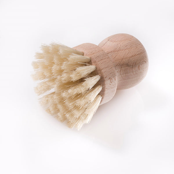 Champignon Børste - Biogan