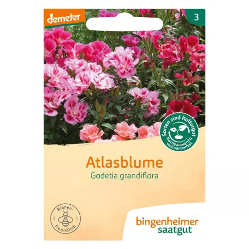Biodynamisk Atlasblomst 'Godetia grandiflora' - Bingenheimer Saatgut