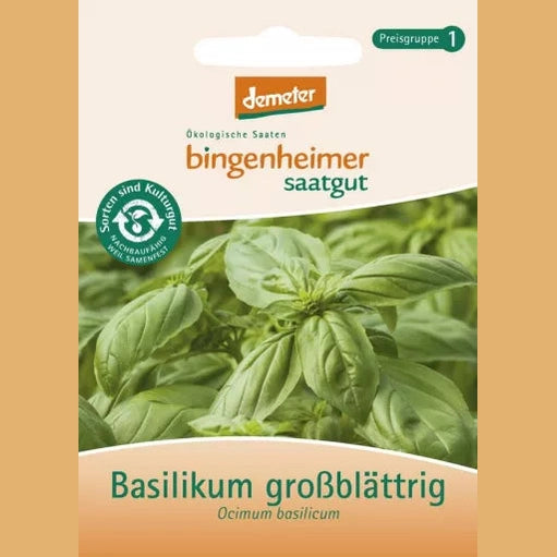 Biodynamisk Storbladet Basilikum - Bingenheimer Saatgut
