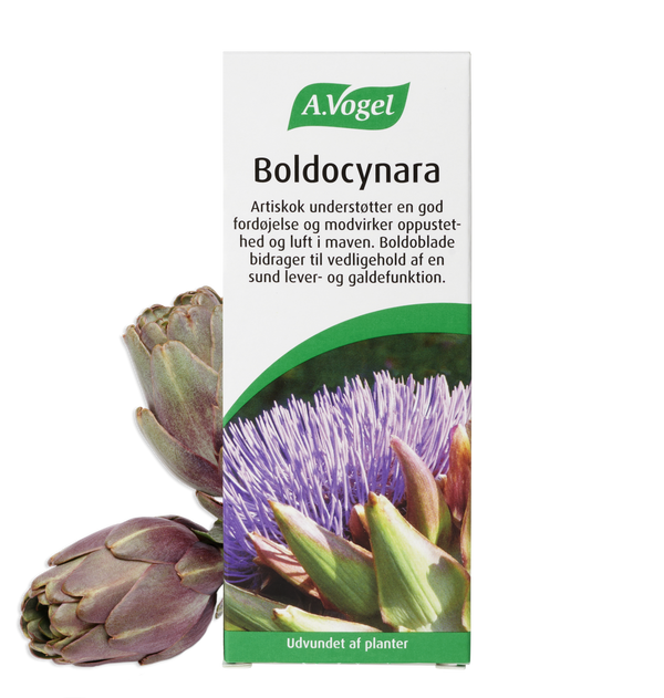 Boldocynara - 100ML - A. Vogel