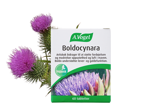 Boldocynara - 60 Tabletter - A. Vogel