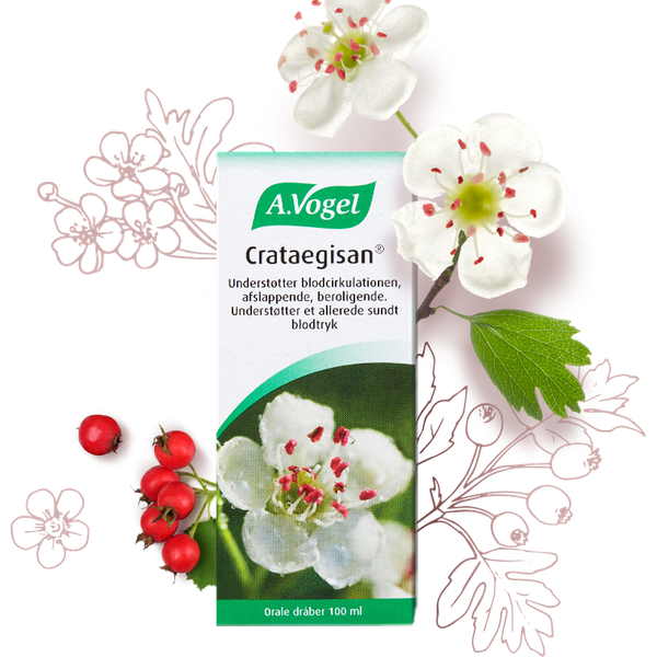 Crataegisan - 100ML - A. Vogel