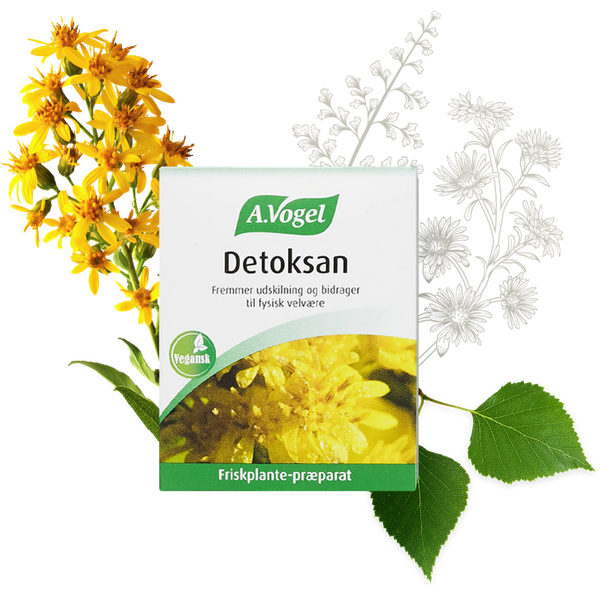 Detoksan - 60 Tabletter - A. Vogel