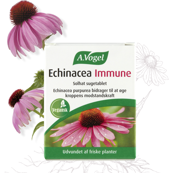 Echinacea Immune - 30 Tabletter - A. Vogel