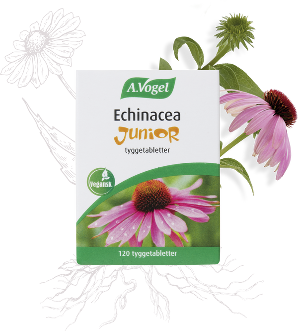 Echinacea Junior - 120 Tabletter - A. Vogel