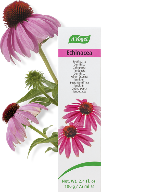 Echinacea Tandpasta - 100G - A. Vogel