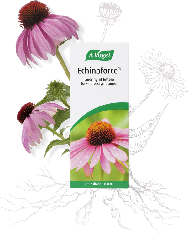 Echinaforce - 100ML - A. Vogel