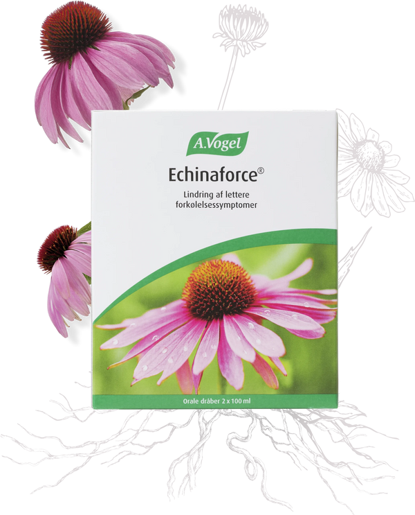 Echinaforce - 200ML - A. Vogel