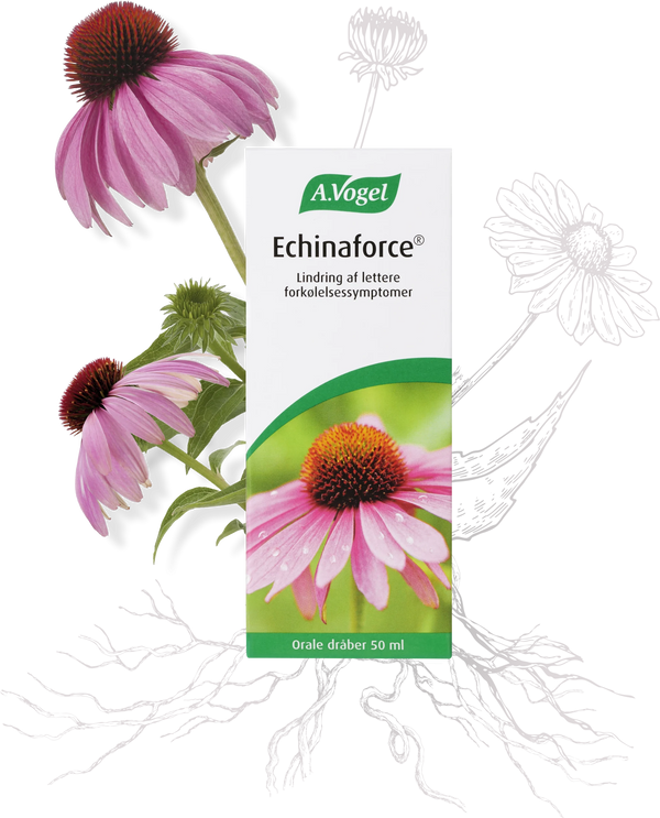 Echinaforce - 50ML - A. Vogel